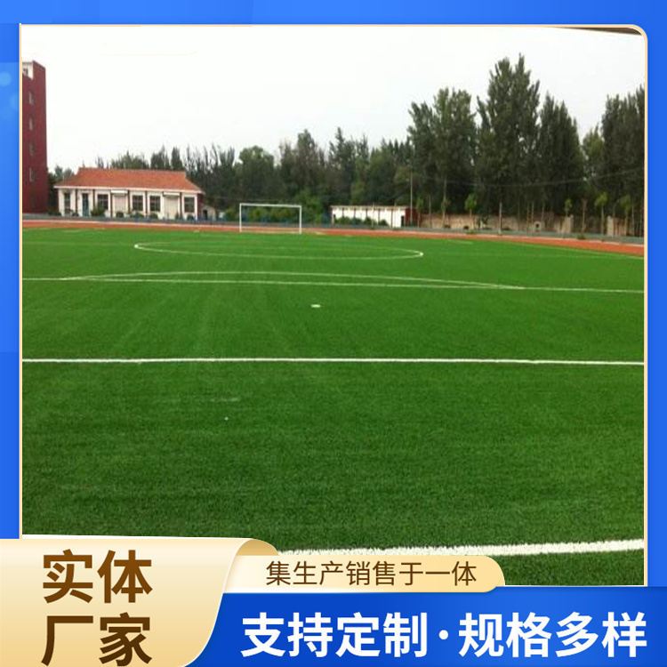 铁岭市塑胶跑道人造草坪 - 厂家